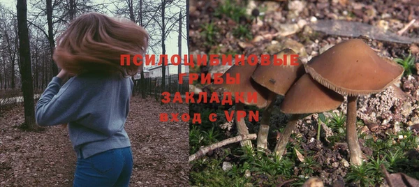 mdpv Магадан